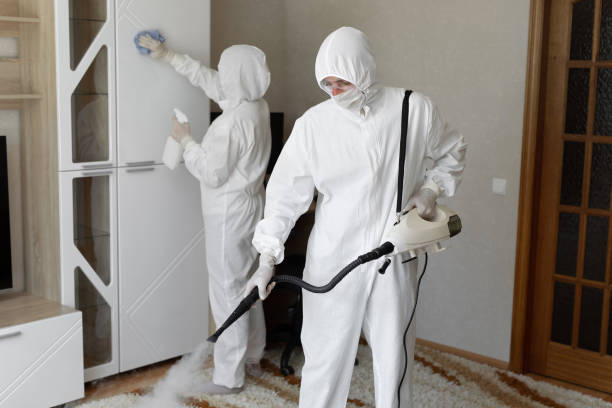 24/7 Emergency Odor Removal experts in Jessup, PA